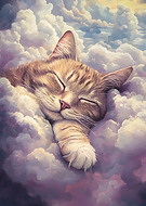 2024-11-22/9cf27f69-0cb9-4c42-aa46-9b2dc60f1992