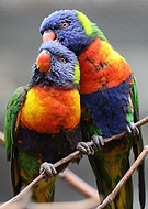 2024-11-22/b9830a4a-5b1c-472f-b1e7-b11a5596b688