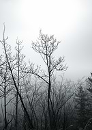 2024-11-23/dda84a0b-b87d-4223-aca6-e036542c5cd4