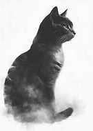 2024-11-25/7cea4763-dc11-4159-b7b5-a23c444e3045