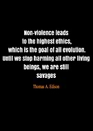 2024-11-26/fe8ed851-0616-4279-9278-5741c3c0f02b