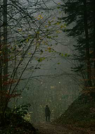 2024-11-28/58d47f19-92f7-4f6d-b506-3bc46852a945