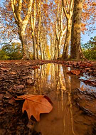 2024-11-28/c2c89a2d-ae49-44d8-9bed-19d4059e01f2