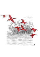 2024-11-29/4e3d929a-a836-4f95-a826-136795b3a257