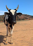 2024-11-30/065c03cd-979a-46f4-834e-98bd4536ad05