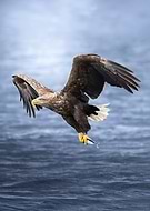 2024-12-03/109c1bc3-a10a-443a-9a17-2bc7cd5661be