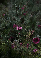 2024-12-04/27d11919-3474-4398-95e2-a798aba4a02a