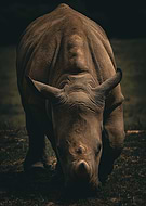 2024-12-04/f34bdebd-b4bd-44e8-b126-bad618664c37