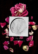 2024-12-06/f7ef6b09-3cd2-45e1-b3ea-f6819d2e774b