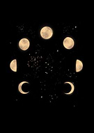 2024-12-07/acfe4b9b-1e87-460c-98cc-ec09bc712e81