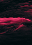 2024-12-08/a42e3031-d5fe-402e-8088-32ce41e2b8e1