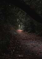 2024-12-09/783466c1-f82b-42e0-a08d-70a75f2a669f