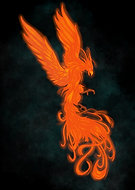 2024-12-09/7f243435-179d-4ae8-9a7e-9caa3c94da28