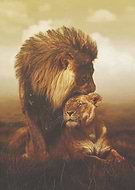 2024-12-10/1244a793-f457-4762-b9b3-4395e6af0f89