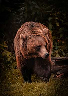 2024-12-11/1b7c538b-409b-4607-8f67-86ea6cc1a912