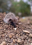 2024-12-11/a110b78a-d75f-4f60-a8f2-73cb36d6b7e3