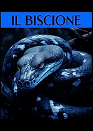 2024-12-11/bcb3ec38-6376-4121-b231-2c9e724e2fd8