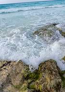 2024-12-12/95dd3c26-6b12-4f72-891e-ee917251ee52