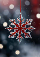 2024-12-15/5dfff711-1c69-4dc8-96a1-c8a98f2c338b