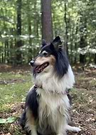 2024-12-15/bda558df-991b-48f4-bbe0-6af2b42a304d