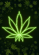 2024-12-15/fa760f83-b40f-4841-8565-099c5a31c316