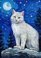 2024-12-16/d0c670dc-2c8f-4aad-b570-43caf16cc283