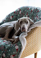 2024-12-17/b6e9ee52-32a1-4a66-a115-f490df0f9cc6