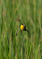 2024-12-17/dbb2921b-b033-4643-80d5-67c539280866