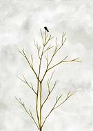 2024-12-19/63e53a59-a057-4604-a1f0-49d3b4a1417b