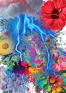 2024-12-19/abd800ba-c2ba-48ce-98a2-ef5edc6da612