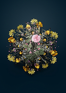 2024-12-22/a5347b00-ebb5-4b1d-887b-d9546b90a471