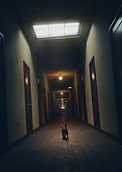 2024-12-23/87345909-a2f1-45f3-981e-ff61987ce502