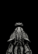 2024-12-25/461a06c4-ecdd-4a51-a03d-d85b8c018a7c