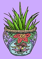 2024-12-25/aaf9940e-4fbc-4443-8a3c-a9391f644626