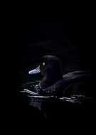 2024-12-25/dc335488-2d5d-4bfe-aa68-32eb73aa30a7