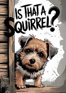 2024-12-26/048d09a1-e488-4b21-aca3-9015ff053ae6