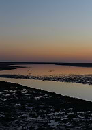 2024-12-26/f2525a88-a423-4e9a-a64d-faca723674a4