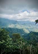 2024-12-29/ce331443-b364-4976-bed2-214ffed0a5fa