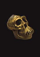 2024-12-30/27f4760c-ea77-43d5-a514-5ccbfd23fb49