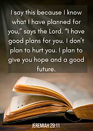 2024-12-30/39d5f63e-c9cd-48c4-93b8-ea889e3fa39f