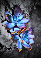 2024-12-31/71a3387e-75a3-4b7d-90c7-0aed03f1b6bd