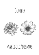 2025-01-02/e4c49b3a-2f60-41e1-b871-32c7d36bb417