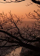 2025-01-02/fa902ba1-e340-487f-ae84-83969c7585b5