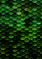 2025-01-03/75b8c5e4-125b-4069-95c5-3c026b458ae7