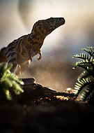 2025-01-03/bbcb4db7-4715-4aa4-8aea-3065b729d7b5