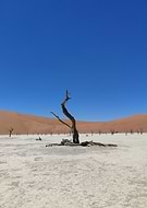 2025-01-04/290e6f23-bc90-489e-83d8-9eb97afd3a18