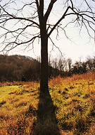 2025-01-05/909231e3-f136-44d8-90a1-6f3d97a82dd4