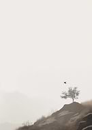 2025-01-07/9fa23b6a-2291-4fdf-9bf6-c4f28c6d651f