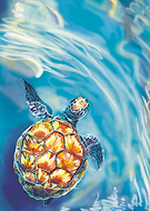 2025-01-10/d555b31c-c2fd-4114-aa4a-8f9961b7ee01