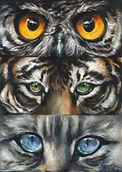 2025-01-12/70fb74a0-a3c8-42eb-9c71-a9cc708782a9